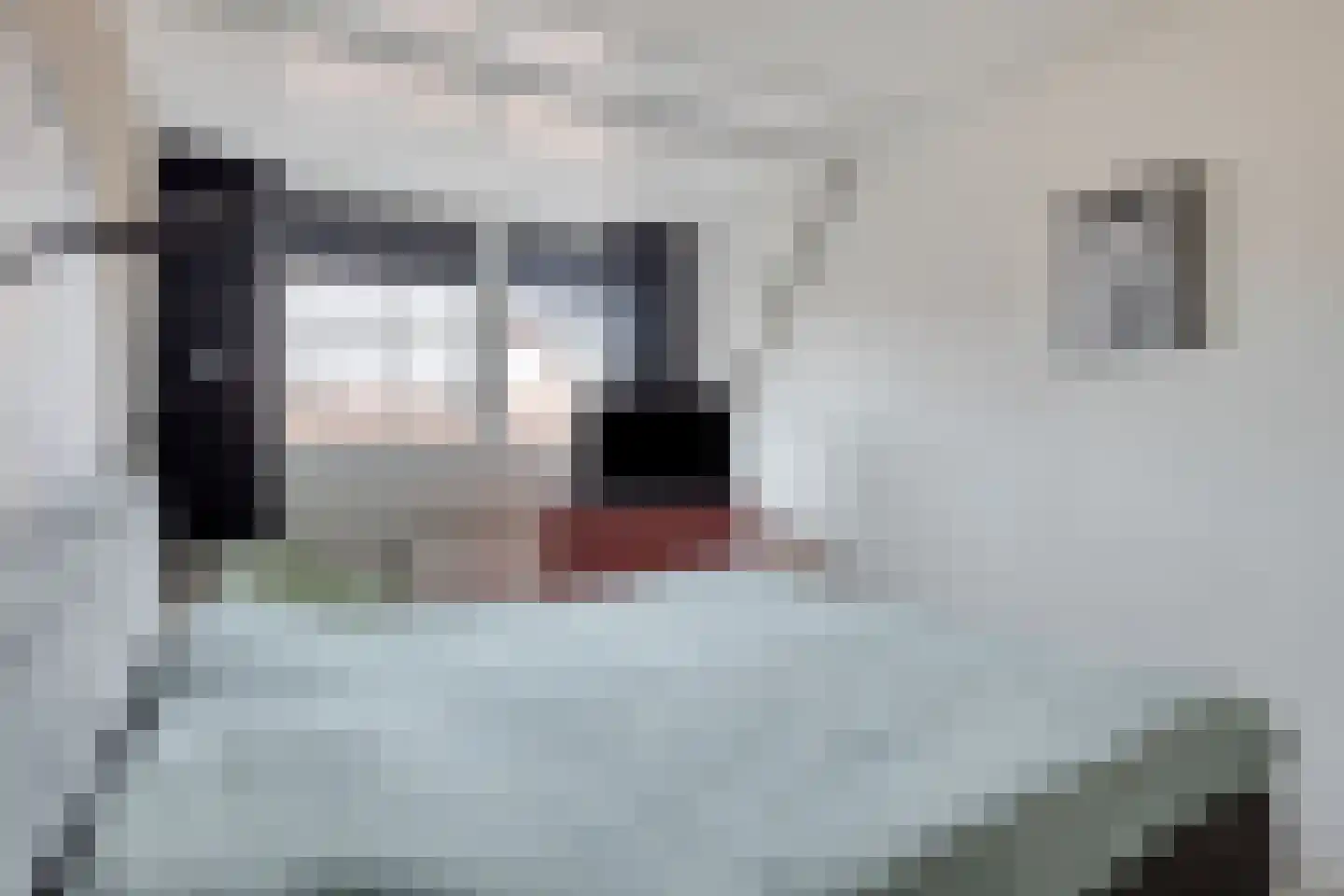 Kapelhoeve 1 Helmond thumbnail 27