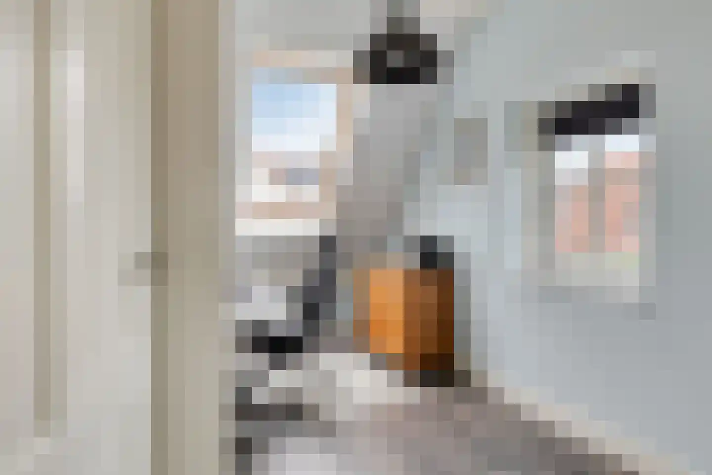 Kapelhoeve 1 Helmond thumbnail 33