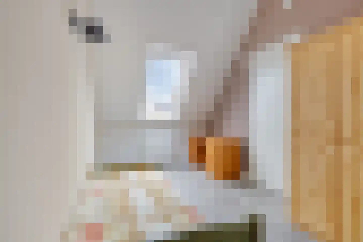 Kapelhoeve 1 Helmond thumbnail 36
