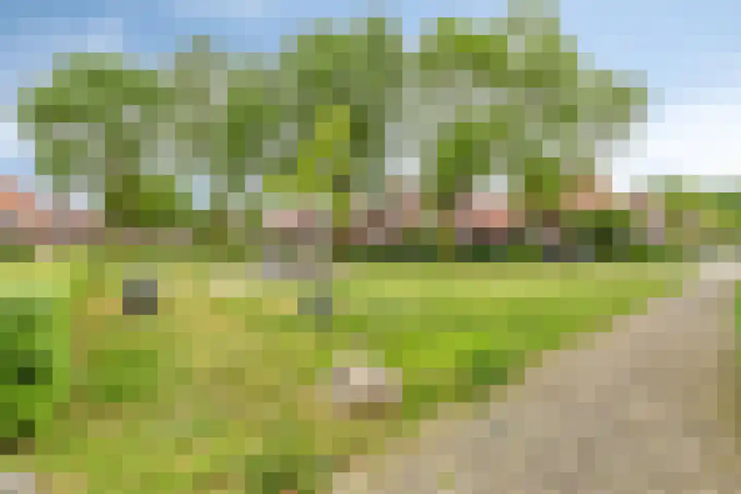 Kapelhoeve 1 Helmond thumbnail 37