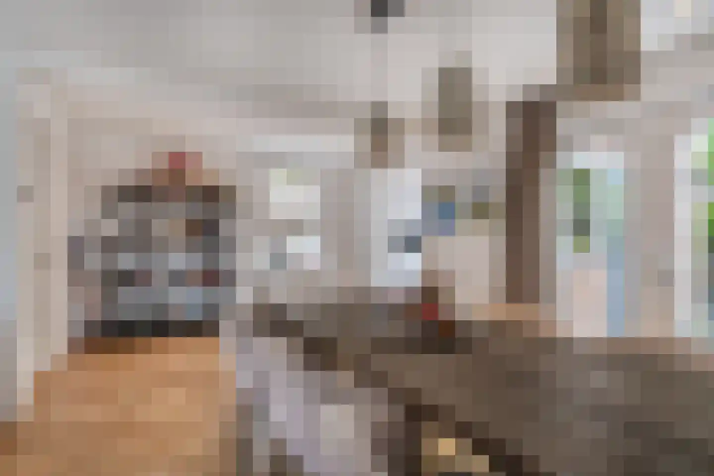 Kapelhof 14 Kerkdriel thumbnail 13