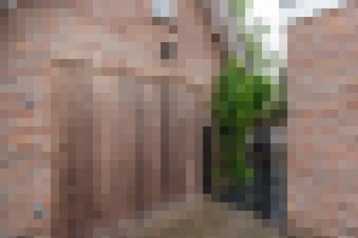 Kapelhof 14 Kerkdriel thumbnail 27