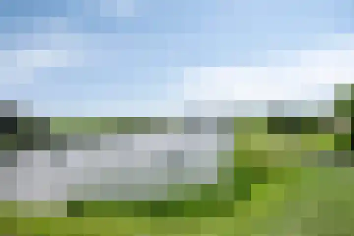 Kapelhof 17 Macharen thumbnail 30