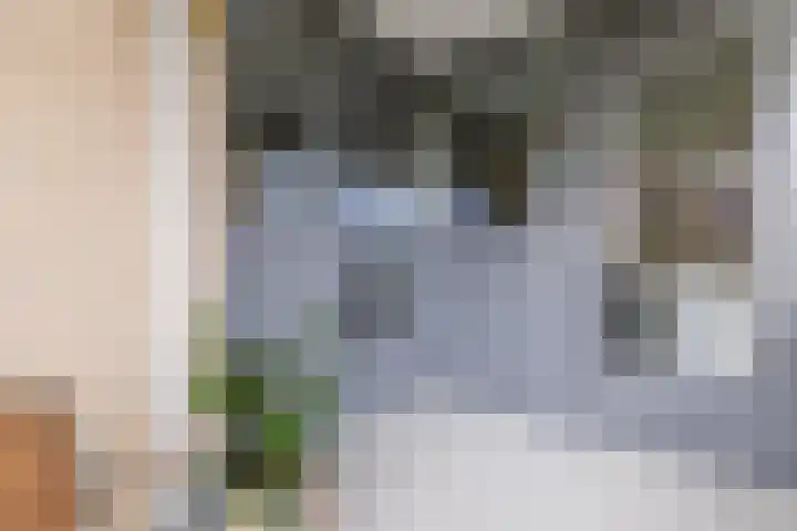 Kapelhof 21 Zaandam thumbnail 30