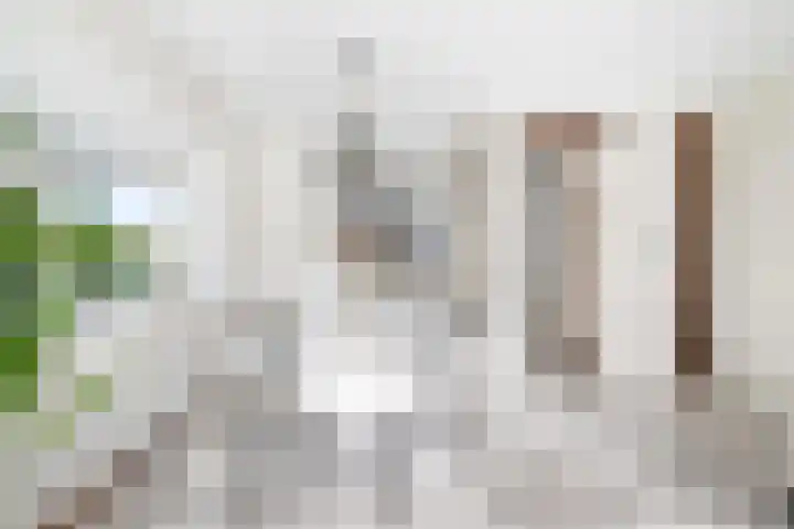 Kapelhof 50 Zaandam thumbnail 12
