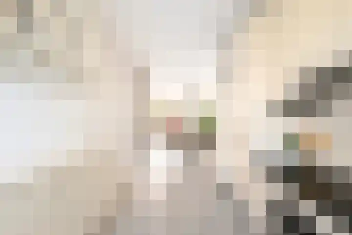Kapelhof 50 Zaandam thumbnail 18