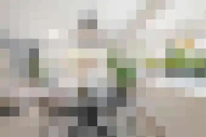 Kapelhof 50 Zaandam thumbnail 19