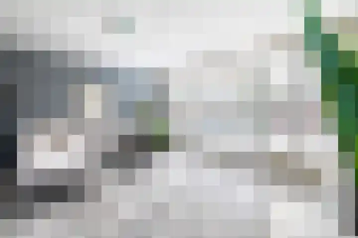 Kapelhof 50 Zaandam thumbnail 20