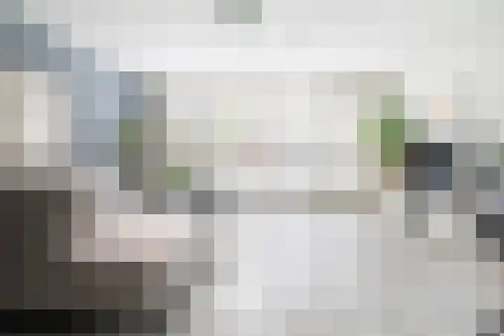 Kapelhof 50 Zaandam thumbnail 22