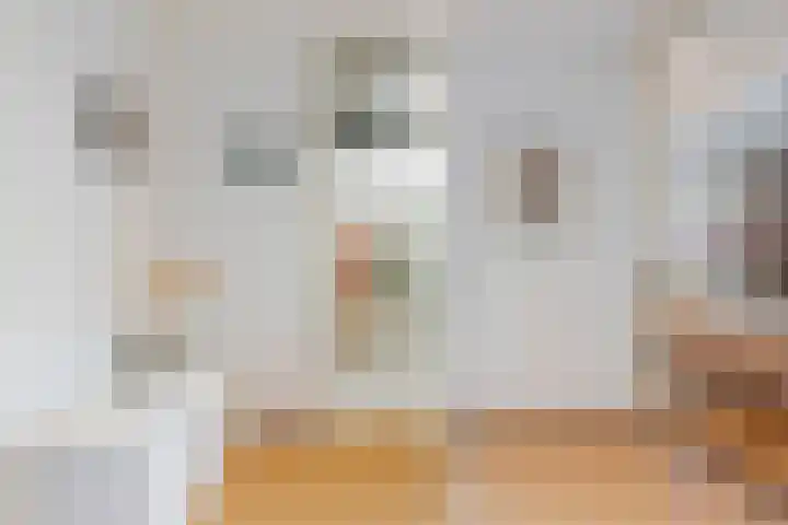 Kapelhof 50 Zaandam thumbnail 37