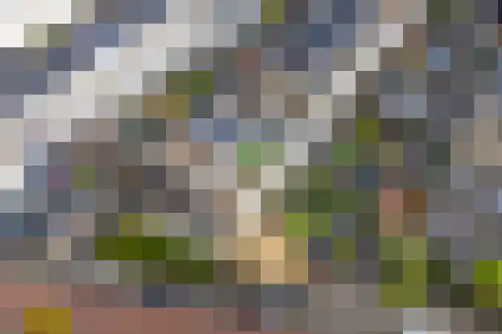Kapelhof 50 Zaandam thumbnail 5
