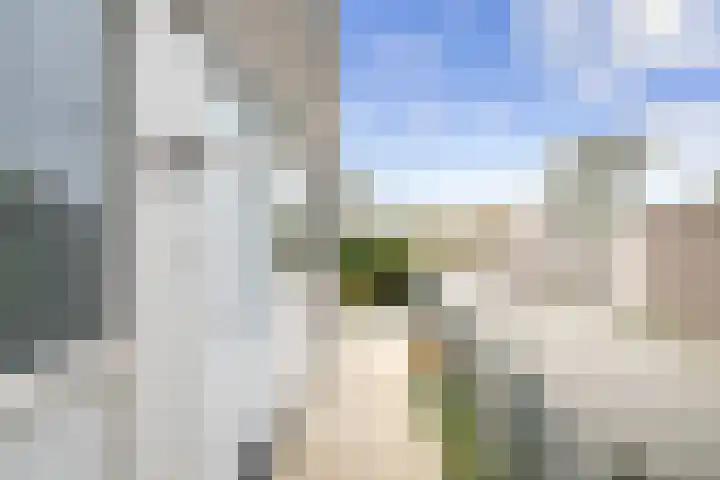 Kapelhof 50 Zaandam thumbnail 55