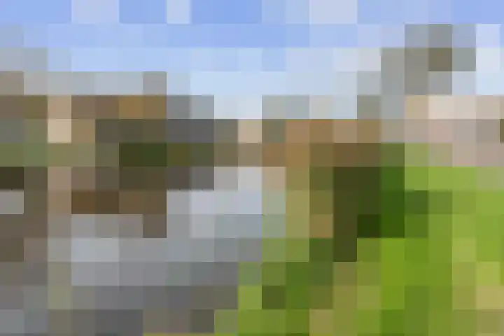 Kapelhof 50 Zaandam thumbnail 56