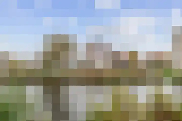 Kapelhof 50 Zaandam thumbnail 57