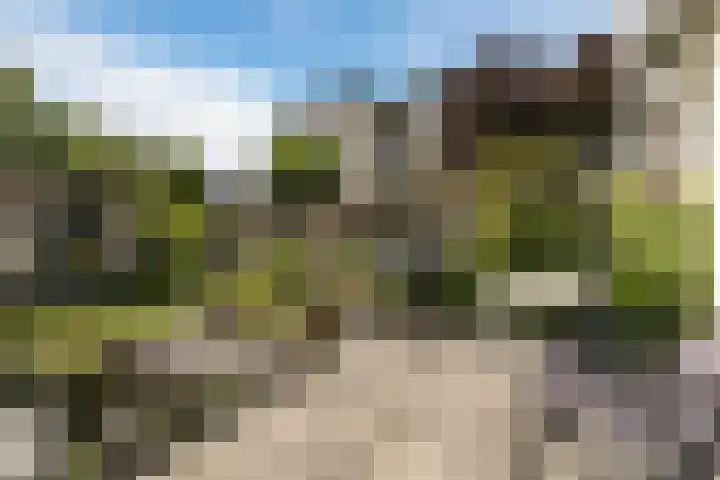 Kapelhof 52 Zaandam thumbnail 11
