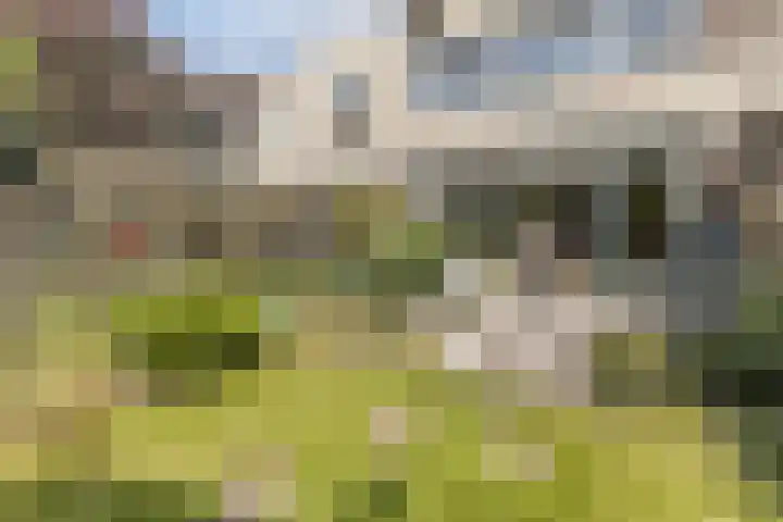 Kapelhof 52 Zaandam thumbnail 12