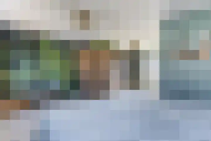 Kapelhof 52 Zaandam thumbnail 31