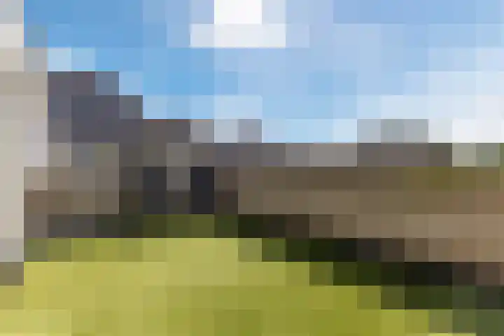 Kapelhof 52 Zaandam thumbnail 34