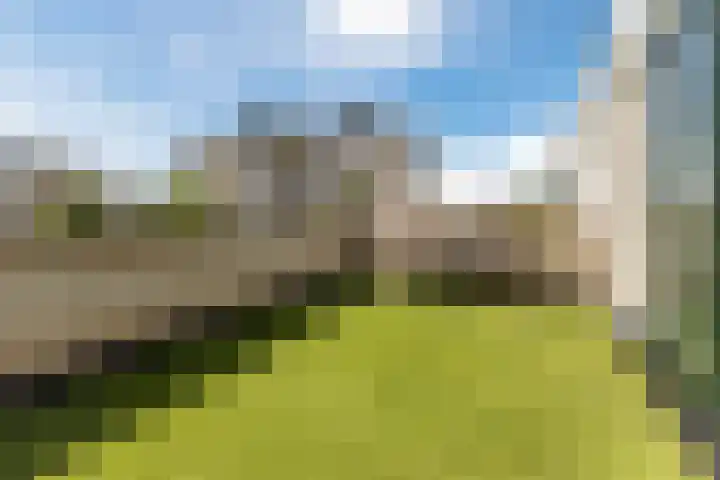 Kapelhof 52 Zaandam thumbnail 35