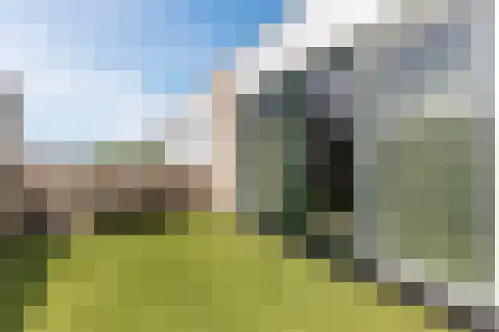 Kapelhof 52 Zaandam thumbnail 36