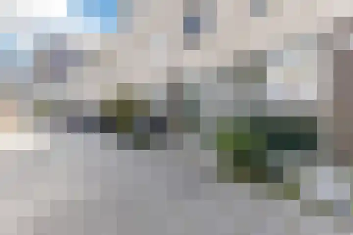 Kapelhof 52 Zaandam thumbnail 39