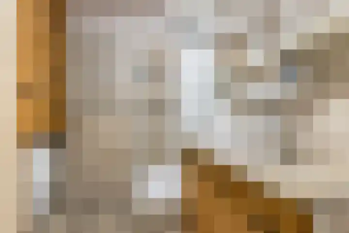 Kapelhof 52 Zaandam thumbnail 4