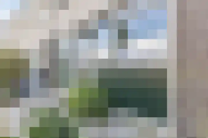 Kapelhof 52 Zaandam thumbnail 6