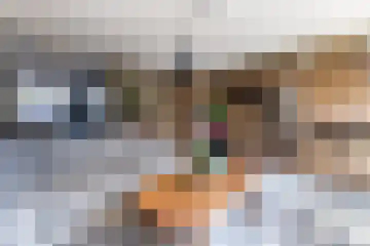 Kapelhof 52 Zaandam thumbnail 8