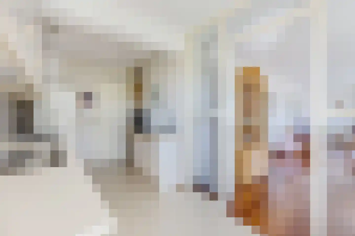 Kapelhof 55 Zaandam thumbnail 13