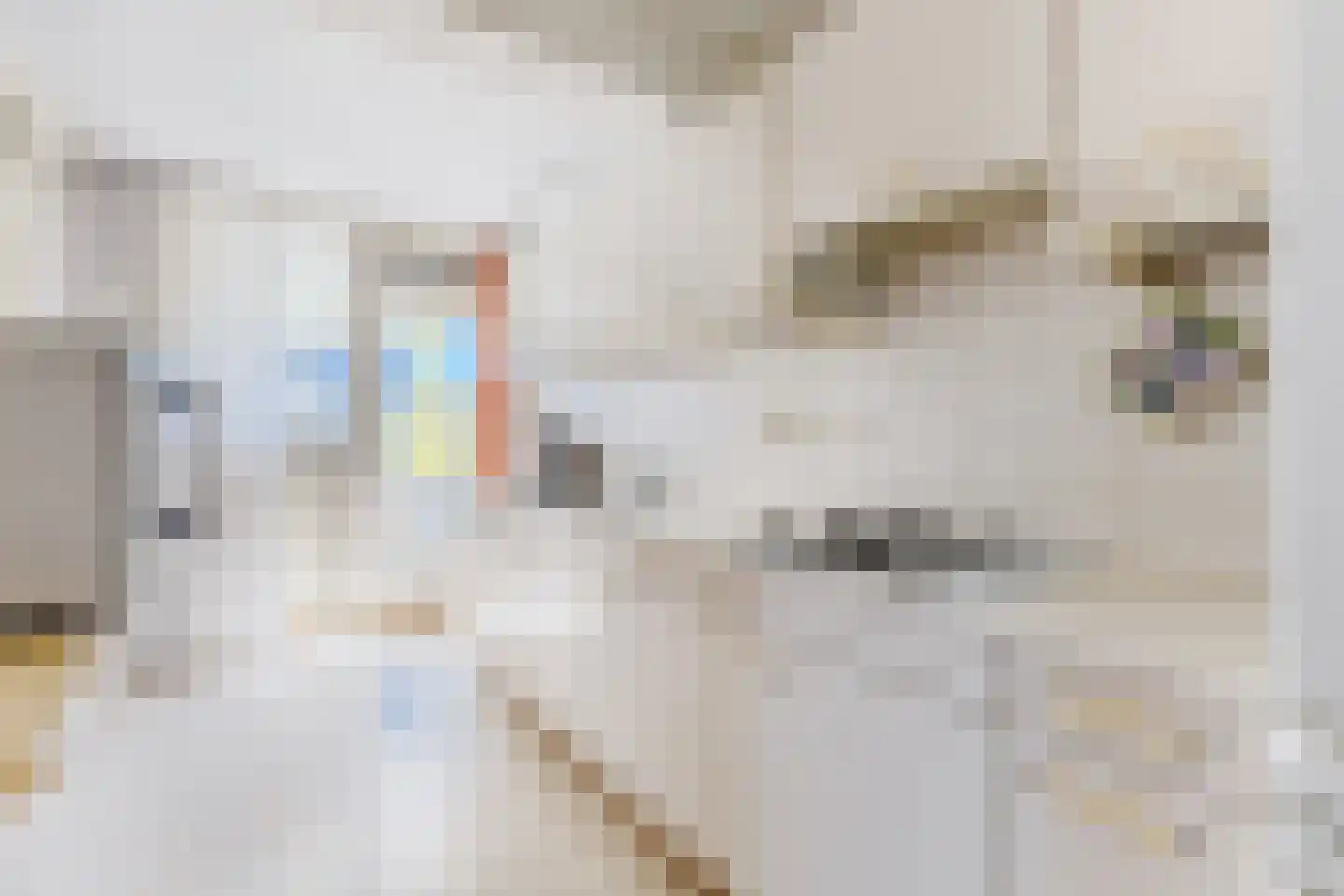 Kapelhof 55 Zaandam thumbnail 5