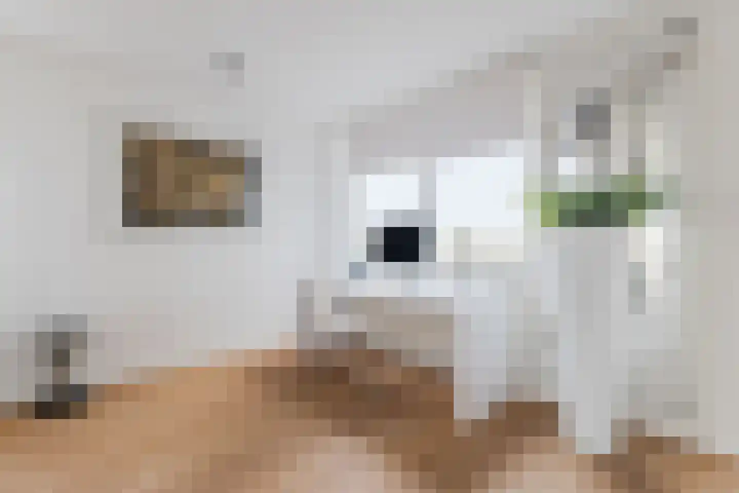 Kapelhof 63 Zaandam thumbnail 13