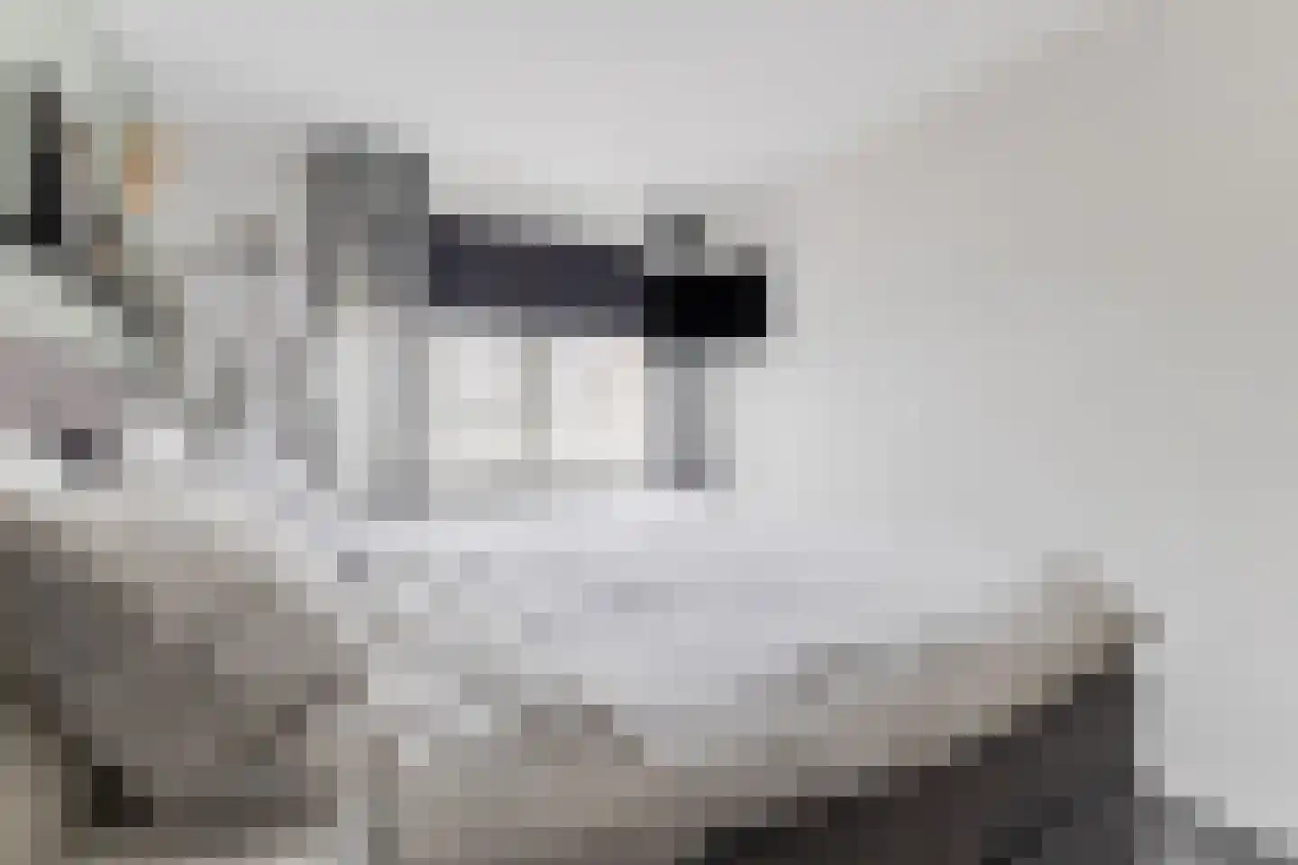 Kapelhof 63 Zaandam thumbnail 20