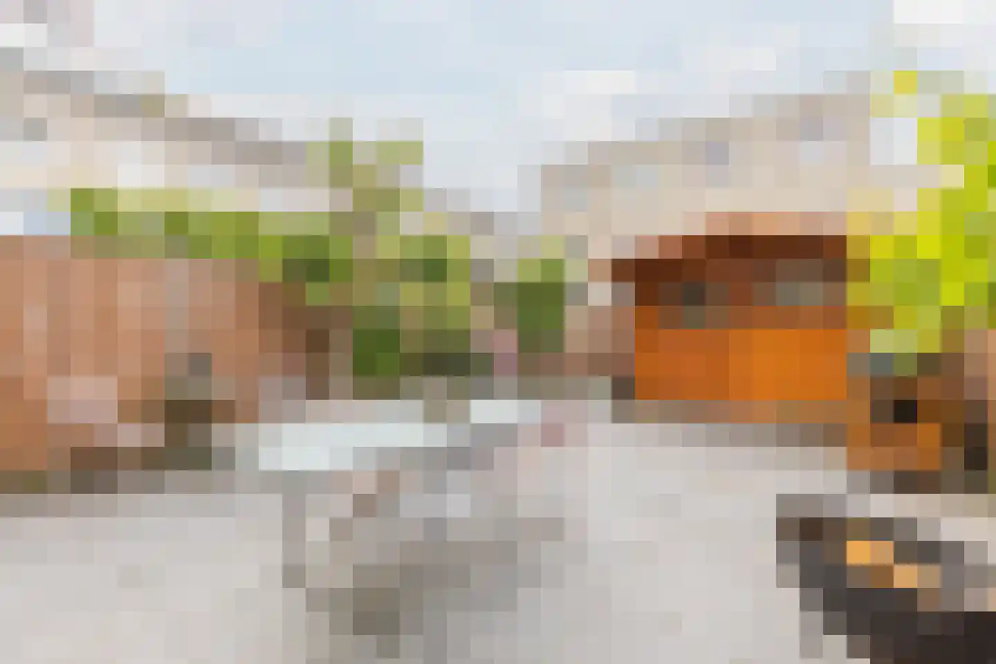 Kapelhof 68 Zaandam thumbnail 27