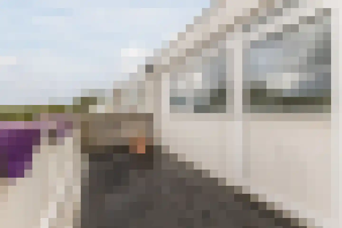 Kapelhof 80 Zaandam thumbnail 33
