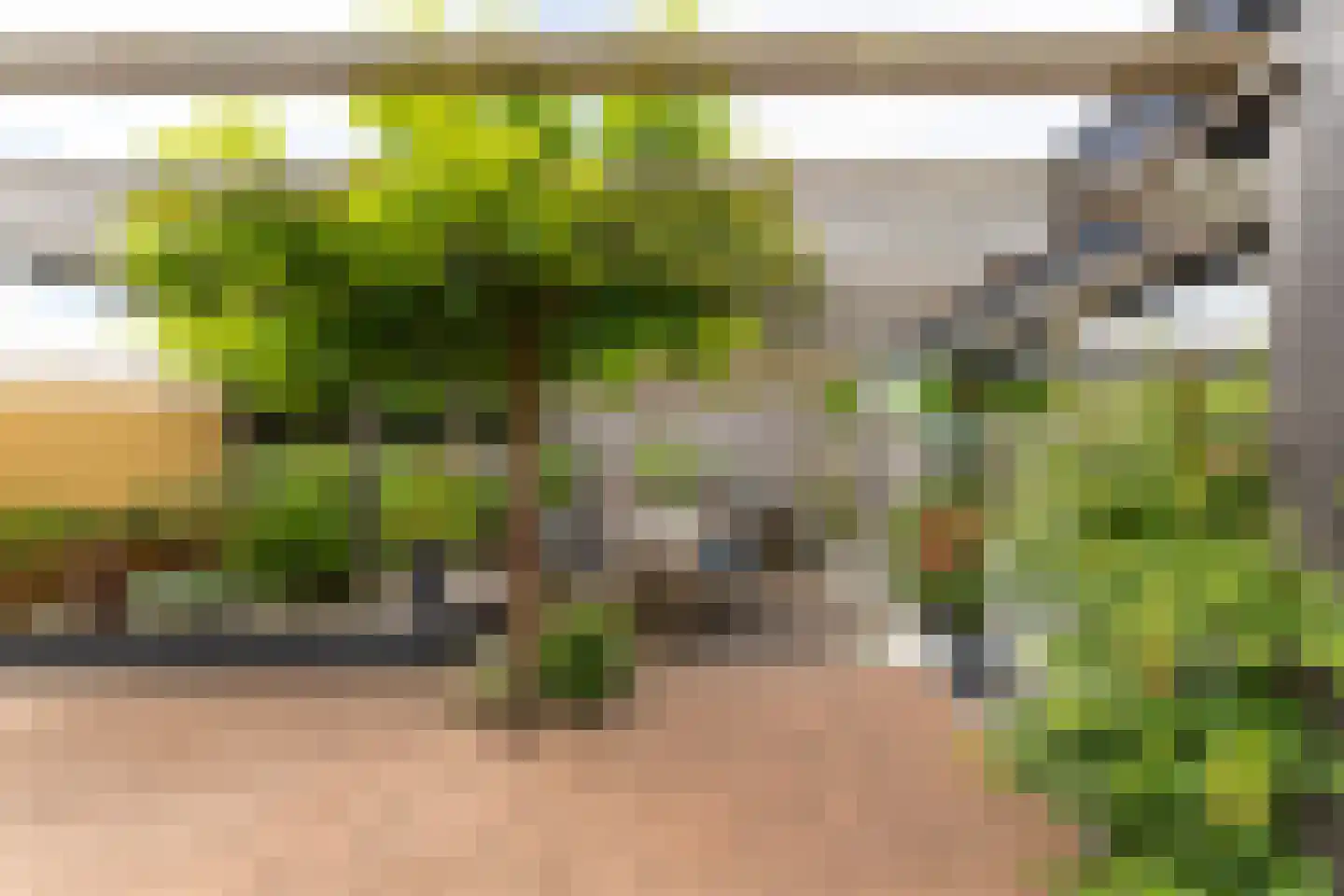 Kapelkesstraat 39 Eijsden thumbnail 9