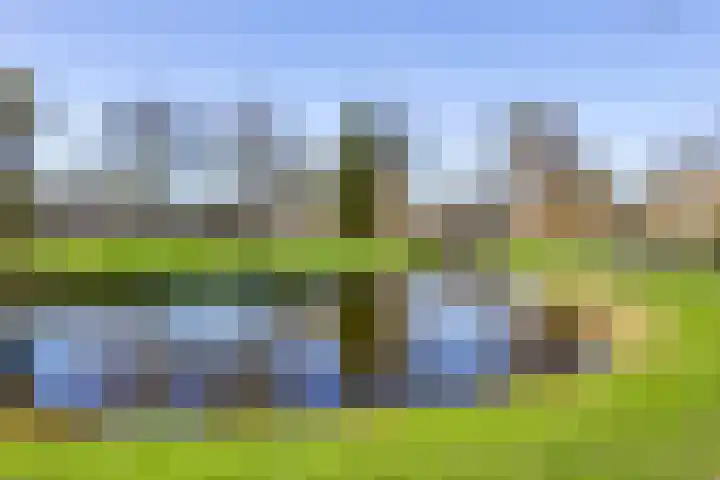 Kapellaan 1 C Vught thumbnail 9