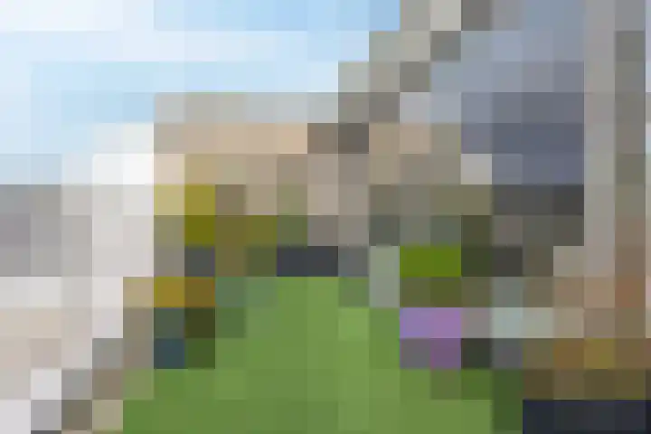 Kapellaan 114 Heiloo thumbnail 22