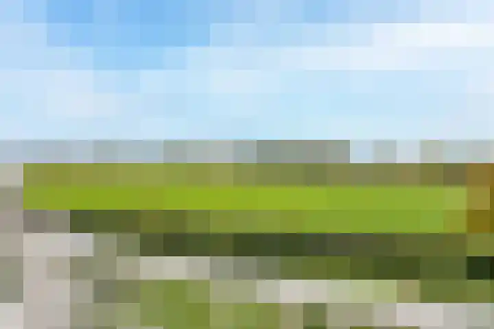 Kapellaan 114 Heiloo thumbnail 24