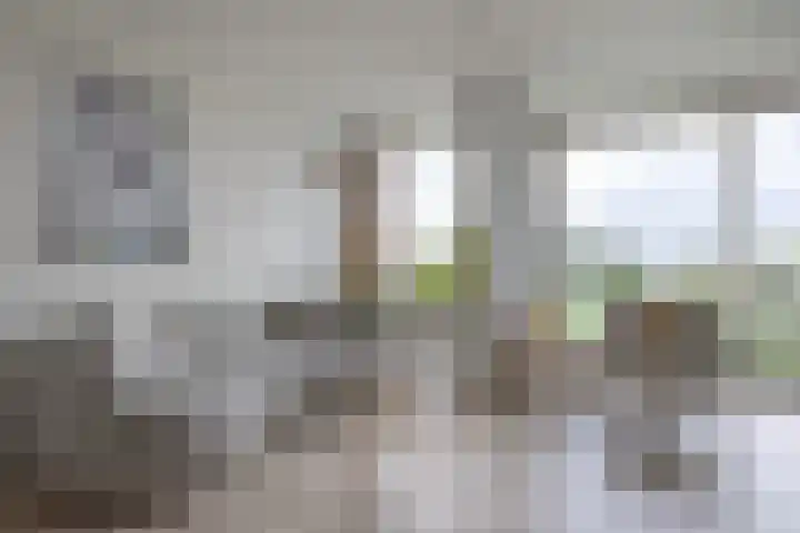 Kapellaan 114 Heiloo thumbnail 6