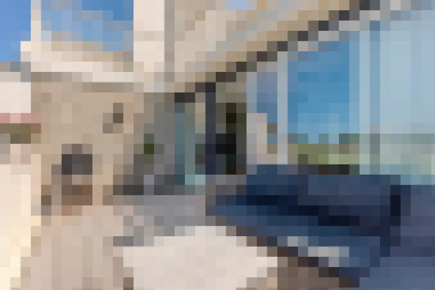 Kapellaan 18 Heiloo thumbnail 11
