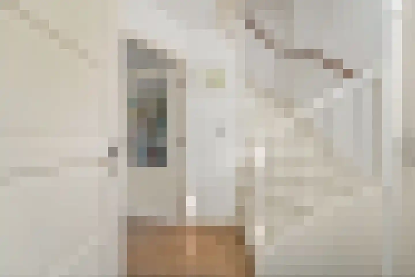 Kapellaan 20 Den Hoorn thumbnail 12