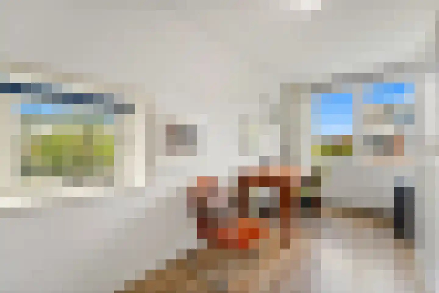 Kapellaan 20 Den Hoorn thumbnail 20