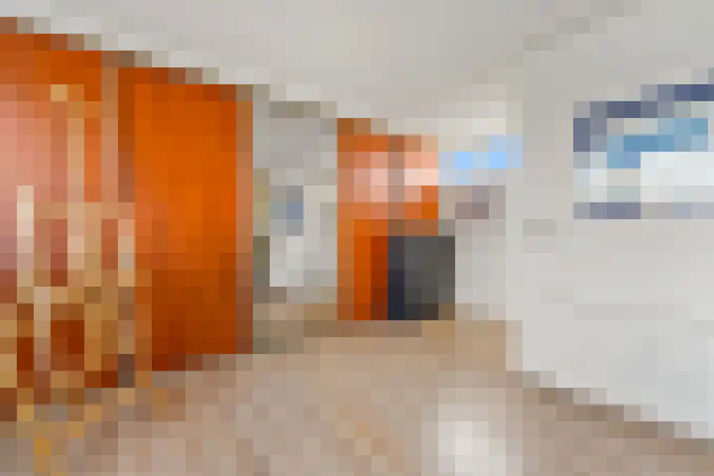 Kapellaan 20 Den Hoorn thumbnail 28