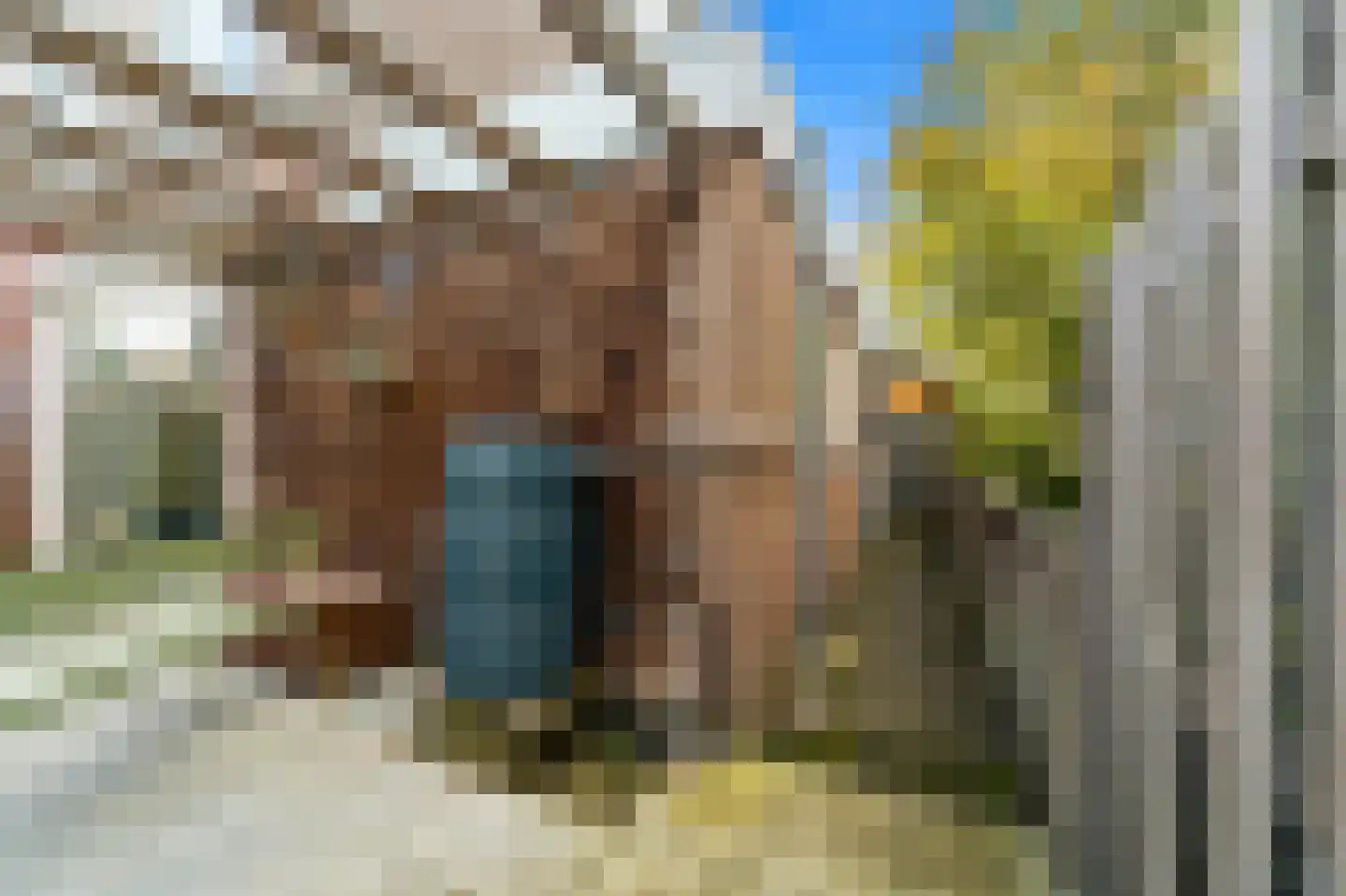 Kapellaan 20 Den Hoorn thumbnail 33