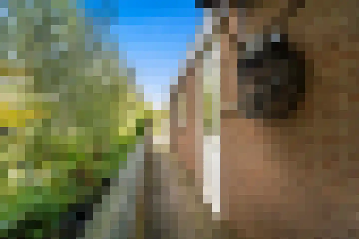 Kapellaan 20 Den Hoorn thumbnail 34
