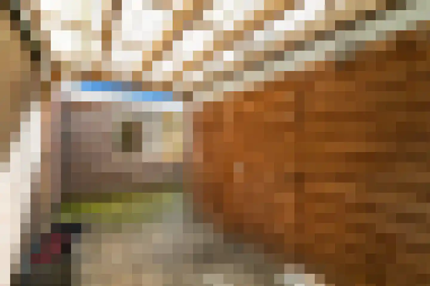 Kapellaan 20 Den Hoorn thumbnail 35