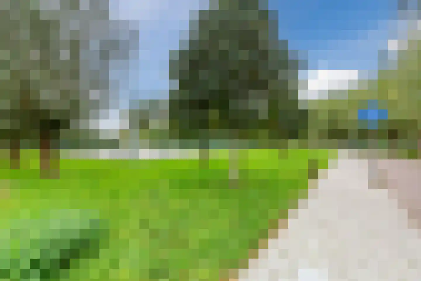 Kapellaan 20 Den Hoorn thumbnail 38