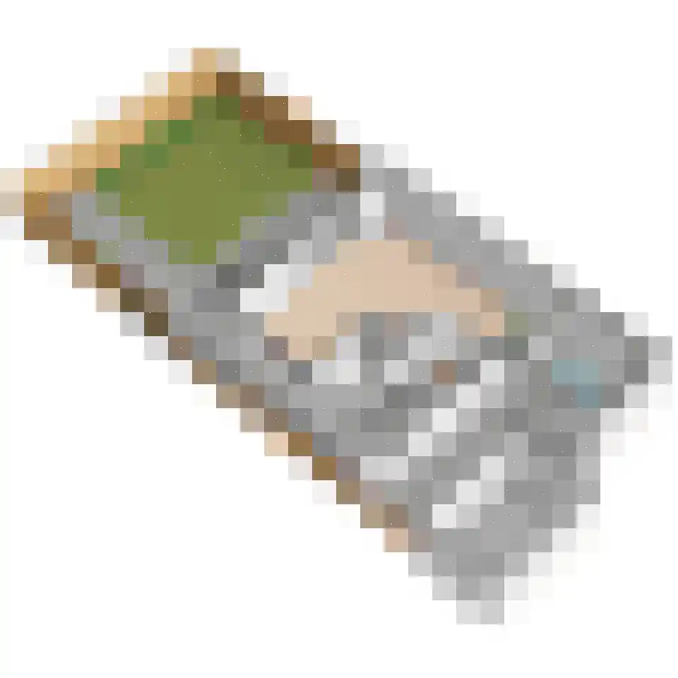 Kapellaan 20 Den Hoorn thumbnail 73