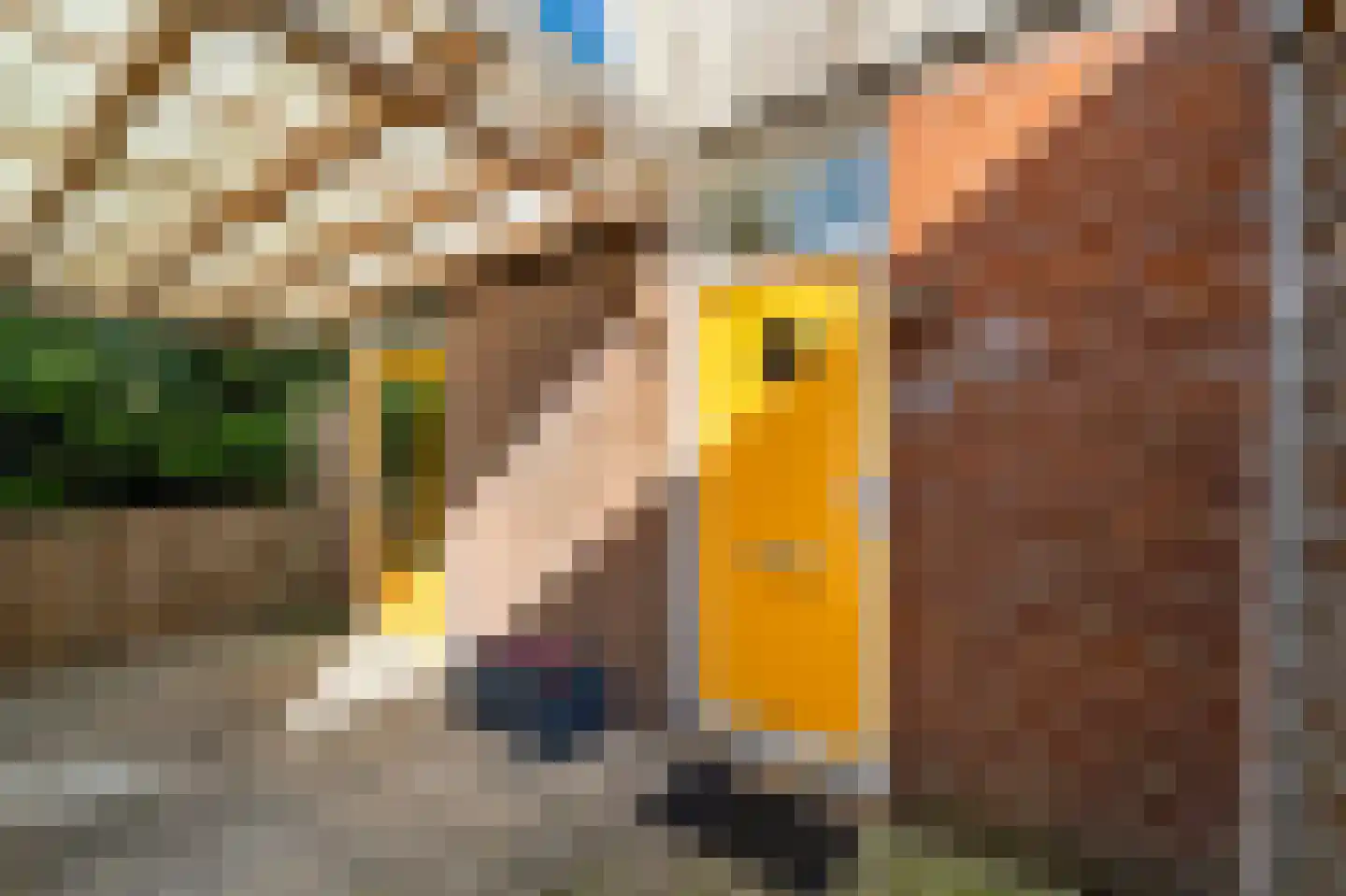 Kapellaan 20 Den Hoorn thumbnail 8
