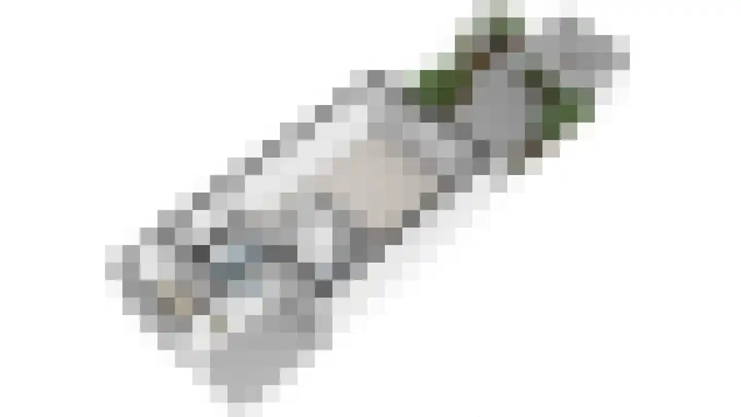 Kapellaan 28 Den Hoorn thumbnail 38